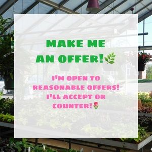 MAKE AN OFFER🌿 LEAVING FOR COLLEGE!